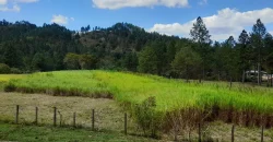 Sale Land Jalapa Nicaragua