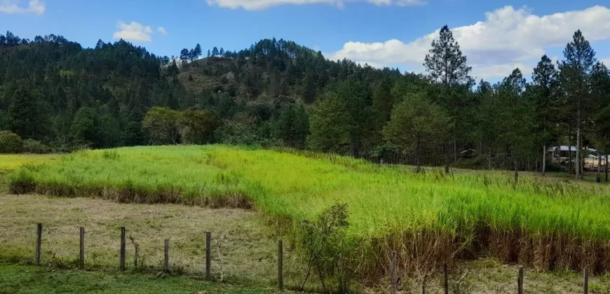 Sale Land Jalapa Nicaragua