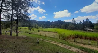 Sale Land Jalapa Nicaragua