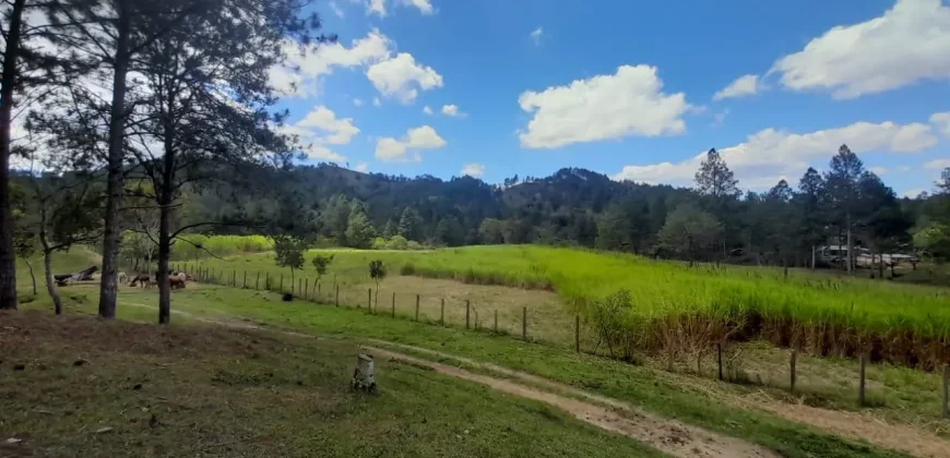 Sale Land Jalapa Nicaragua