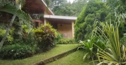 House for Rent Carretera Sur