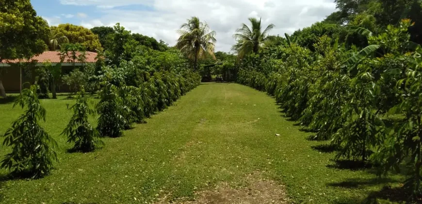 Farm in Carretera Vieja a León