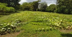 Farm in Carretera Vieja a León