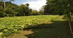 Farm in Carretera Vieja a León