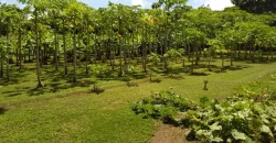 Farm in Carretera Vieja a León