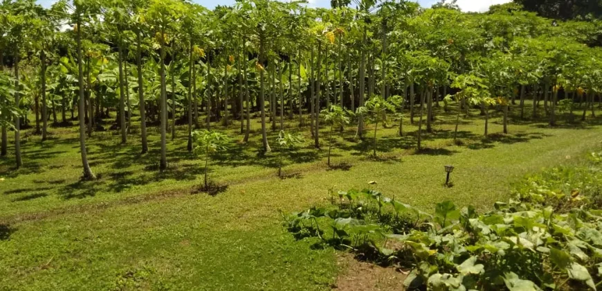 Farm in Carretera Vieja a León