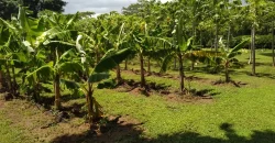 Farm in Carretera Vieja a León