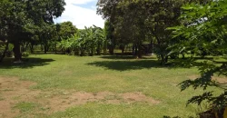 Farm in Carretera Vieja a León