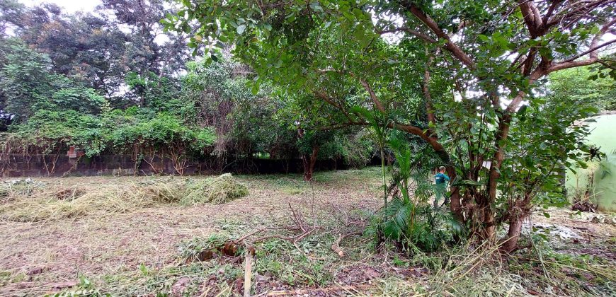 Terreno en Venta en Carretera Masaya