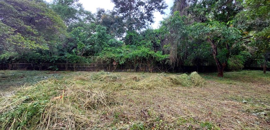 Terreno en Venta en Carretera Masaya