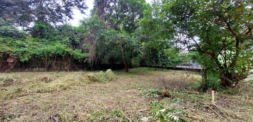 Terreno en Venta en Carretera Masaya