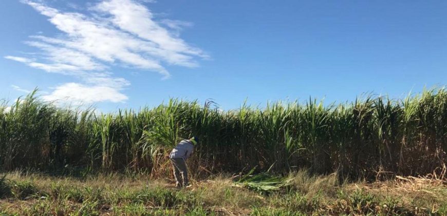 Finca en venta camino a Malacatoya