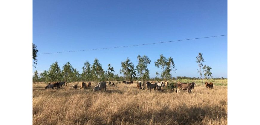 Finca en venta camino a Malacatoya