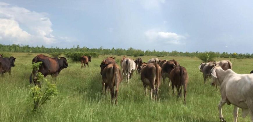 Finca en venta camino a Malacatoya