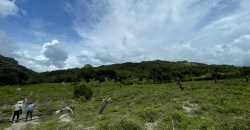 Finca en venta en Juigalpa Chontales