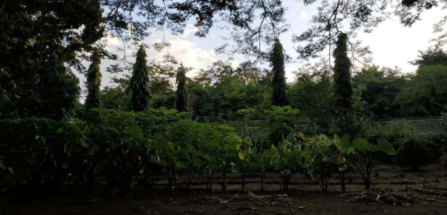 Venta de Terreno en León, Sutiava, Nicaragua