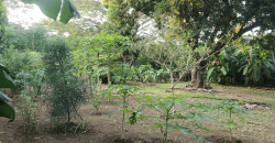 Venta de Terreno en León, Sutiava, Nicaragua