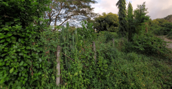 Venta de Terreno en León, Sutiava, Nicaragua