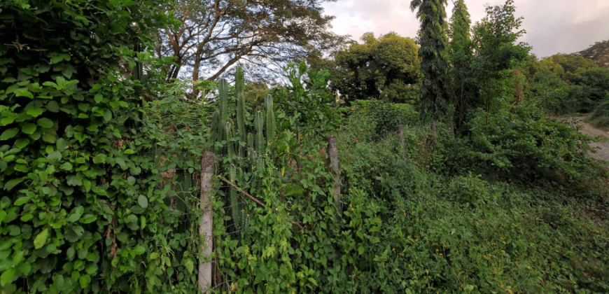 Venta de Terreno en León, Sutiava, Nicaragua