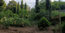 Venta de Terreno en León, Sutiava, Nicaragua