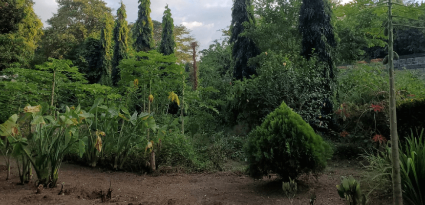 Venta de Terreno en León, Sutiava, Nicaragua