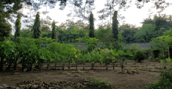 Venta de Terreno en León, Sutiava, Nicaragua