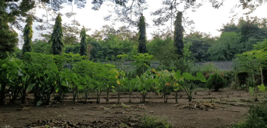 Venta de Terreno en León, Sutiava, Nicaragua