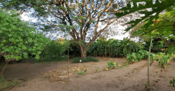 Venta de Terreno en León, Sutiava, Nicaragua