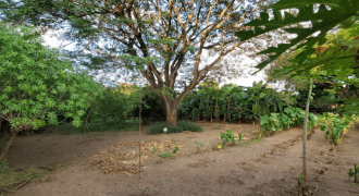 Venta de Terreno en León, Sutiava, Nicaragua