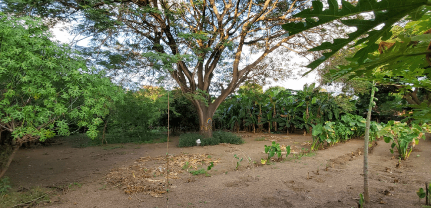 Venta de Terreno en León, Sutiava, Nicaragua