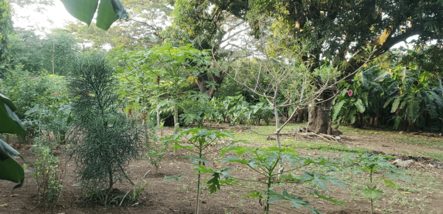 Venta de Terreno en León, Sutiava, Nicaragua