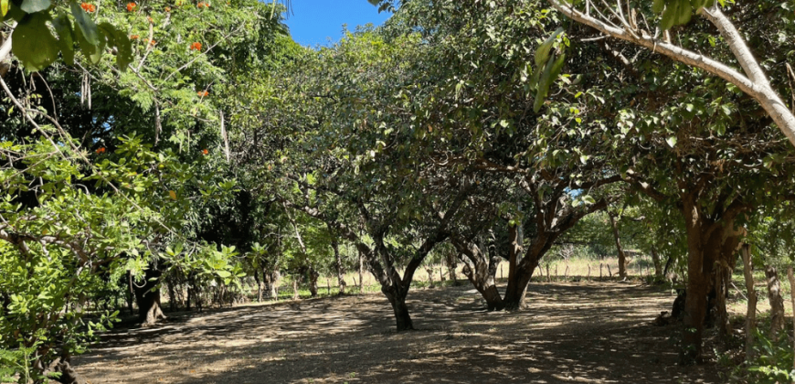 Casa en venta en Teustepe Boaco