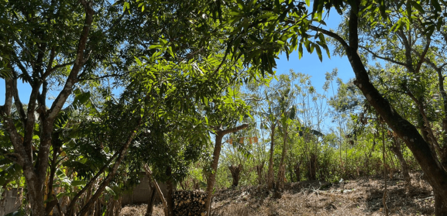 Terreno en venta en Catarina Masaya