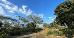 Terreno en Venta: Oportunidad Única en la Carretera Sur km 9.5 Managua