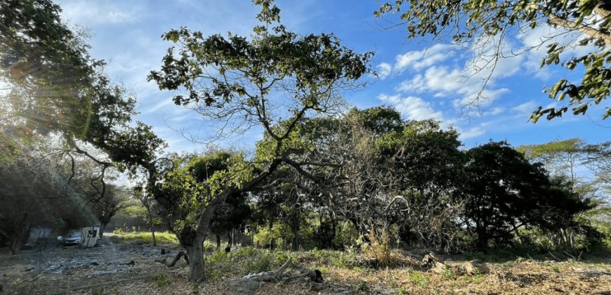 Terreno en Venta: Oportunidad Única en la Carretera Sur km 9.5 Managua