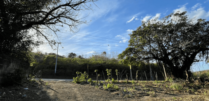 Terreno en Venta: Oportunidad Única en la Carretera Sur km 9.5 Managua