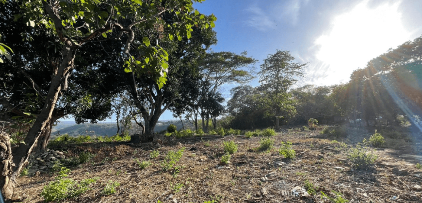 Terreno en Venta: Oportunidad Única en la Carretera Sur km 9.5 Managua