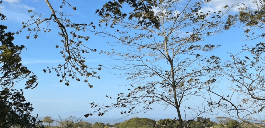 Terreno en Venta: Oportunidad Única en la Carretera Sur km 9.5 Managua