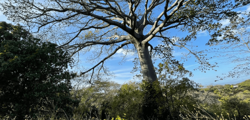 Terreno en Venta: Oportunidad Única en la Carretera Sur km 9.5 Managua