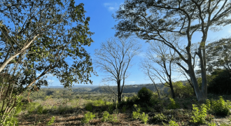 Terreno en Venta: Oportunidad Única en la Carretera Sur km 9.5 Managua