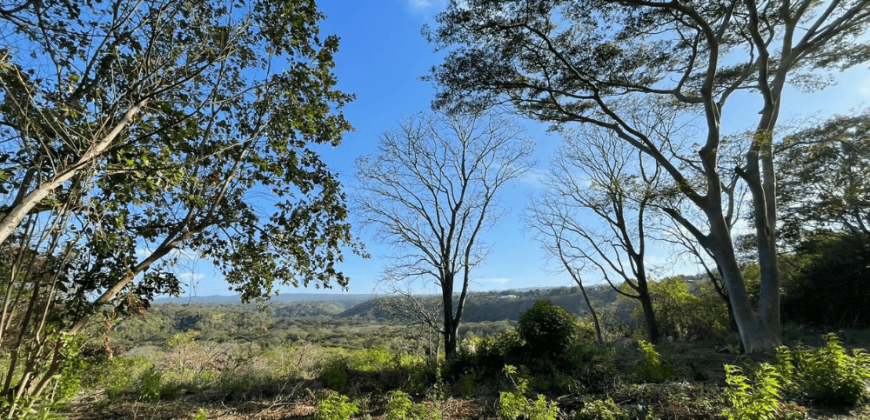 Terreno en Venta: Oportunidad Única en la Carretera Sur km 9.5 Managua