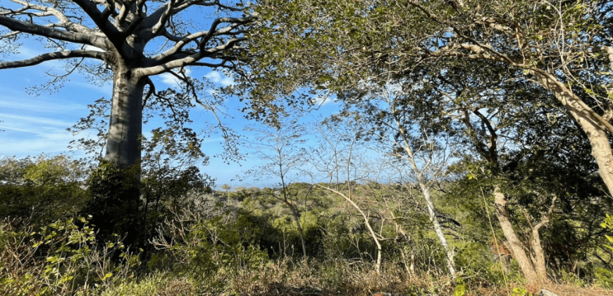 Terreno en Venta: Oportunidad Única en la Carretera Sur km 9.5 Managua