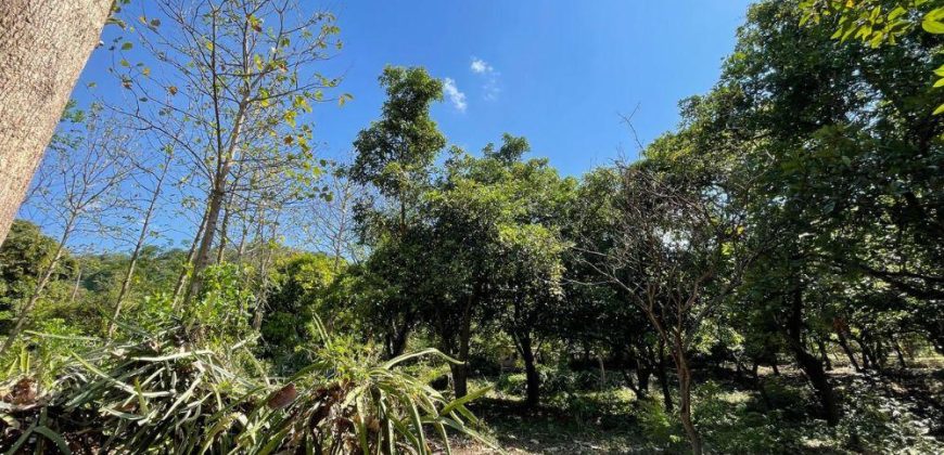 Finca en Venta en San Juan de la Concepción, Masaya