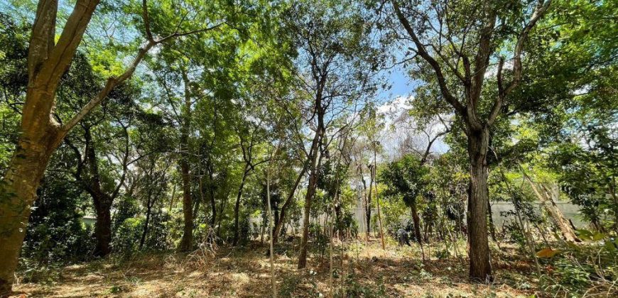 Terreno en venta, Mirador Santo Domingo (costado oeste)