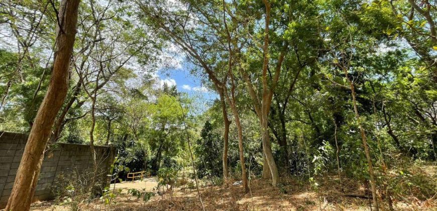 Terreno en venta, Mirador Santo Domingo (costado oeste)