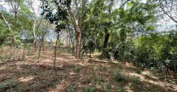 Terreno en venta, Mirador Santo Domingo (costado oeste)