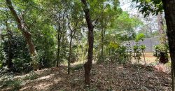 Terreno en venta, Mirador Santo Domingo (costado oeste)