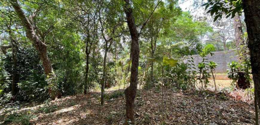 Terreno en venta, Mirador Santo Domingo (costado oeste)