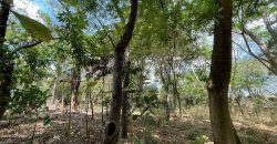 Terreno en venta, Mirador Santo Domingo (costado oeste)