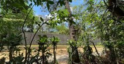 Terreno en venta, Mirador Santo Domingo (costado oeste)